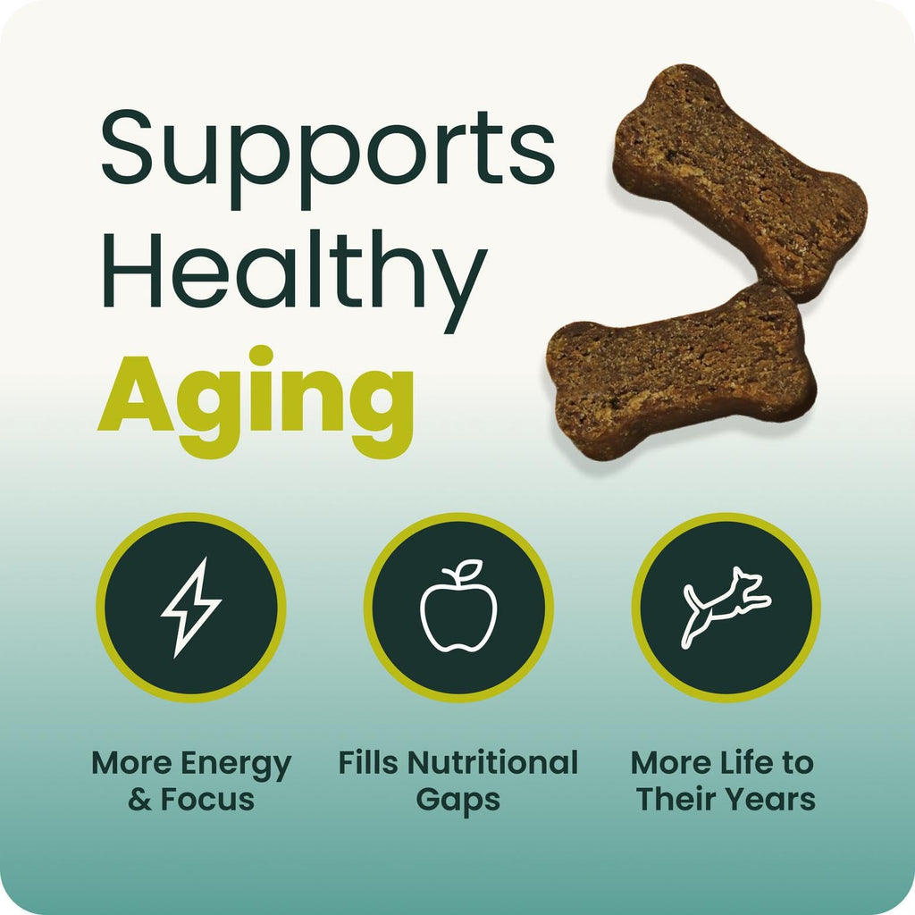 Senior Multivitamin for Dogs, 60 Count C623592