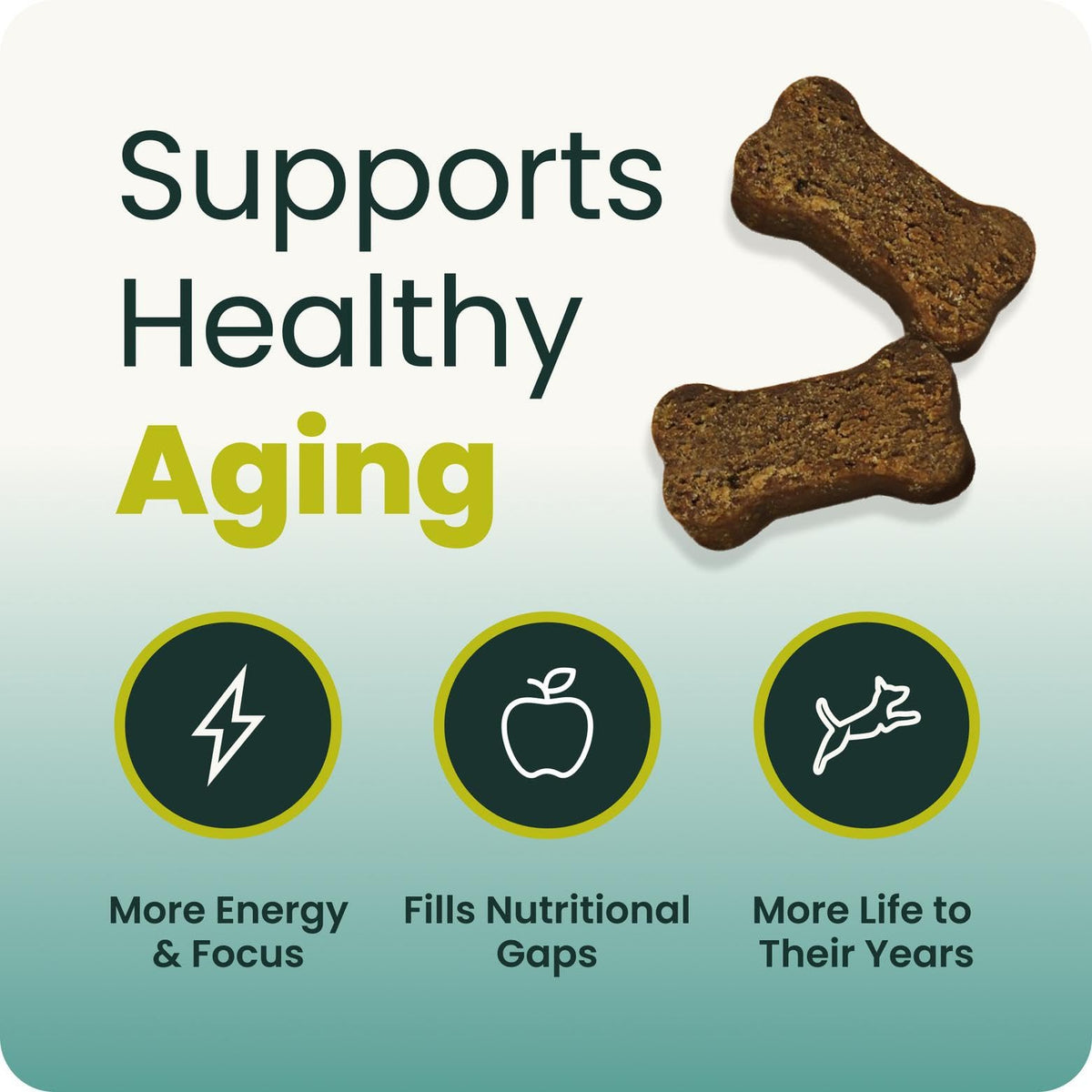 Senior Multivitamin for Dogs, 60 Count C623592