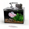 1.8 Gallon Fish Tank with Light Filter Lid K454