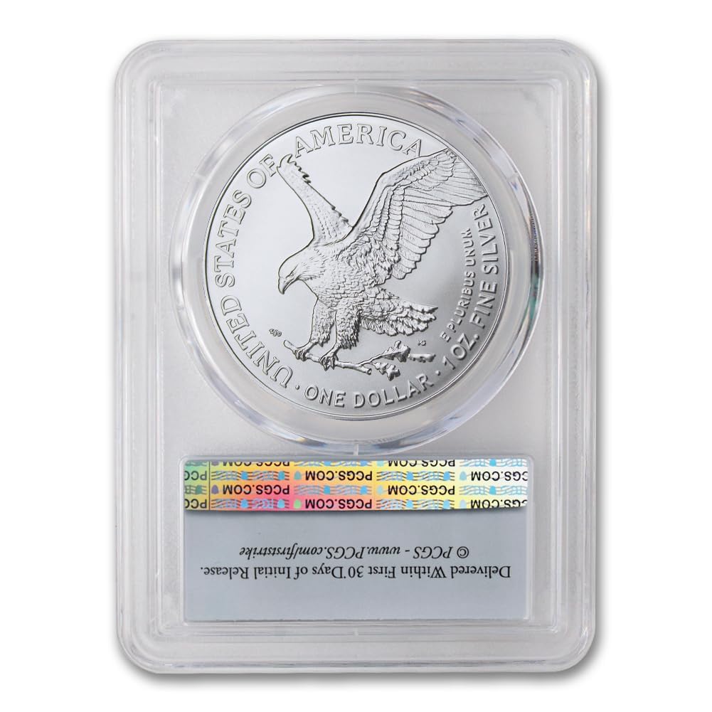 1 oz American Silver Eagle Coin MS-70 R35716