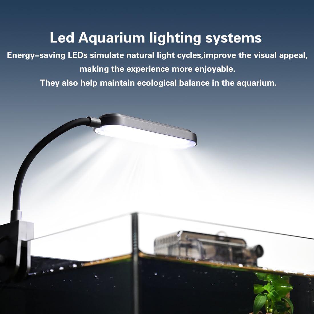 1.8 Gallon Fish Tank with Light Filter Lid K454
