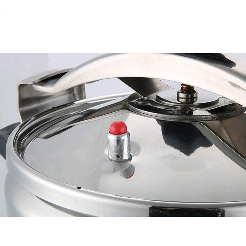 Stainless Steel 3L Electric Pressure Cooker F92387