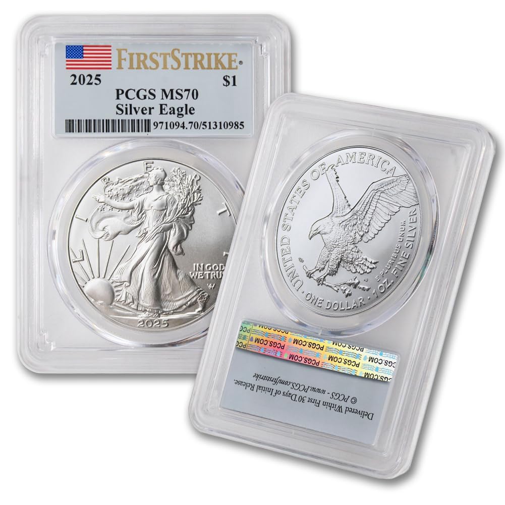 1 oz American Silver Eagle Coin MS-70 R35716