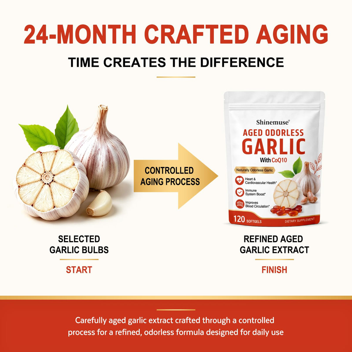 Aged Garlic Extract Softgels 1200mg with CoQ10 H57347