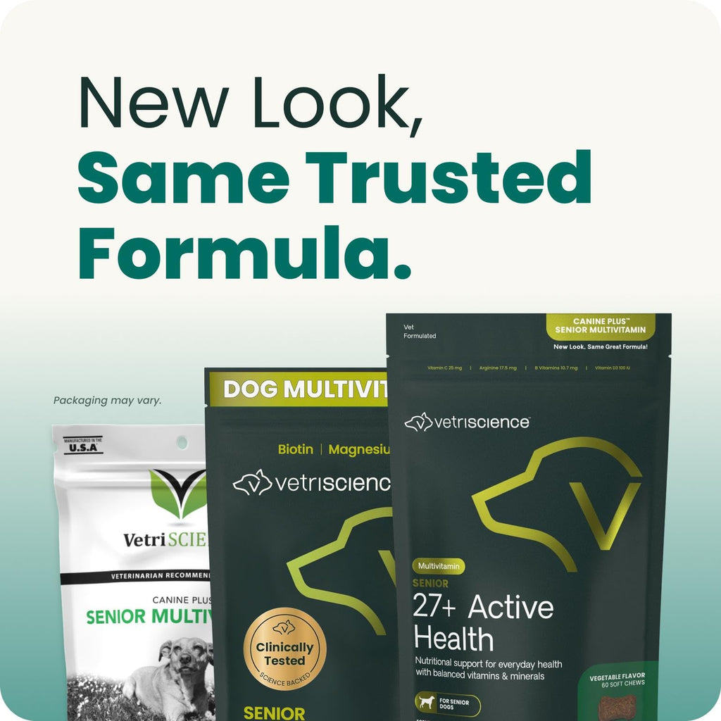 Senior Multivitamin for Dogs, 60 Count C623592