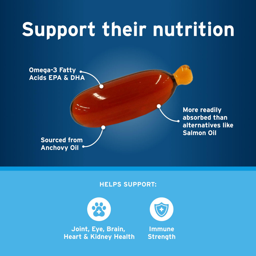 Small Dog Flea and Tick Treatment 6-Mo Supply + Omega 3 Supplement 60 Capsules N27391