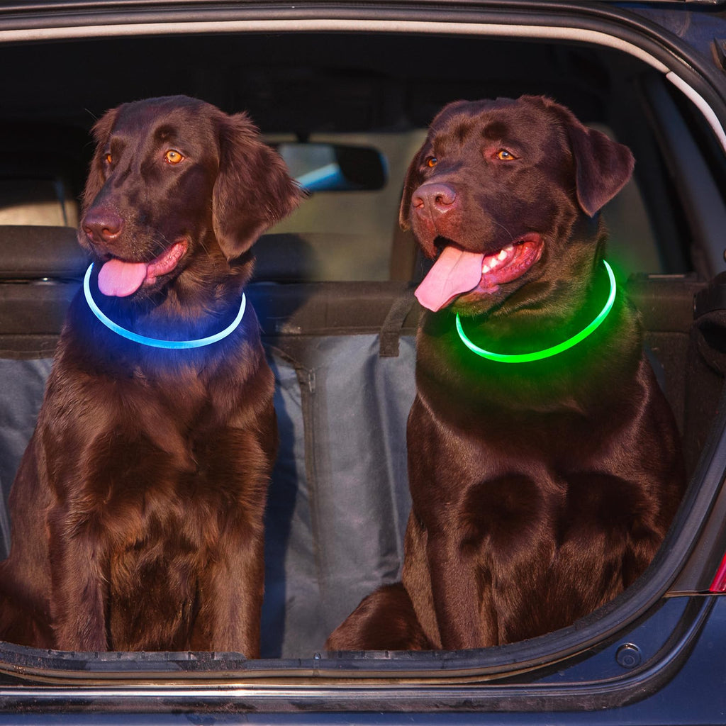 2 Packs Light Up Dog Collar A45386