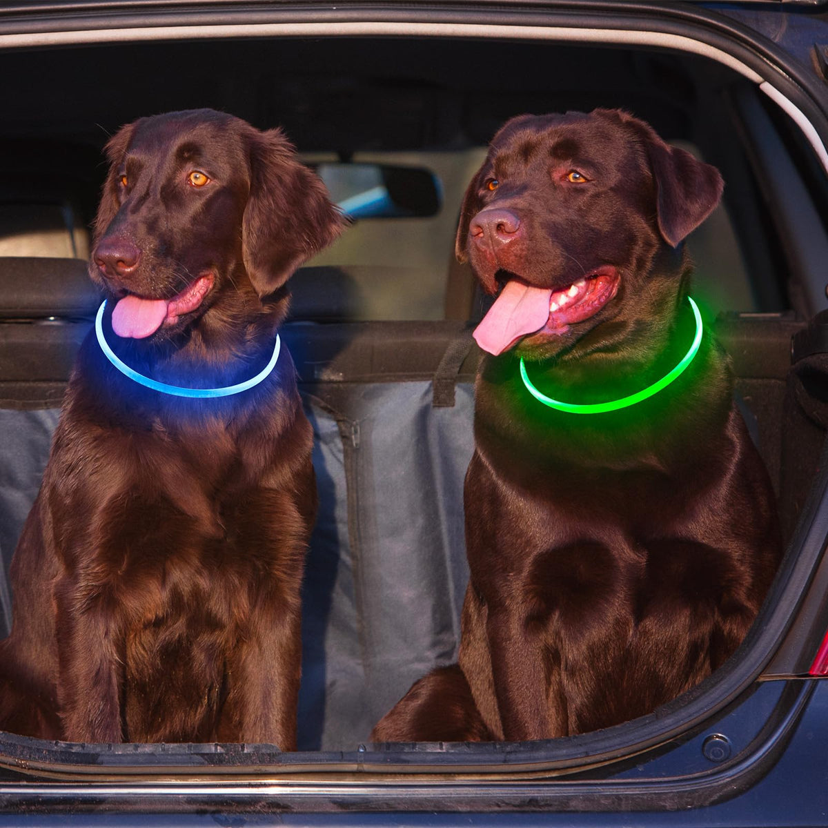 2 Packs Light Up Dog Collar A45386