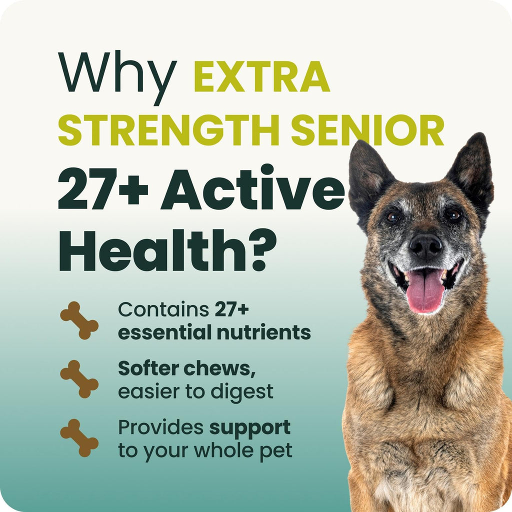 Senior Multivitamin for Dogs, 60 Count C623592