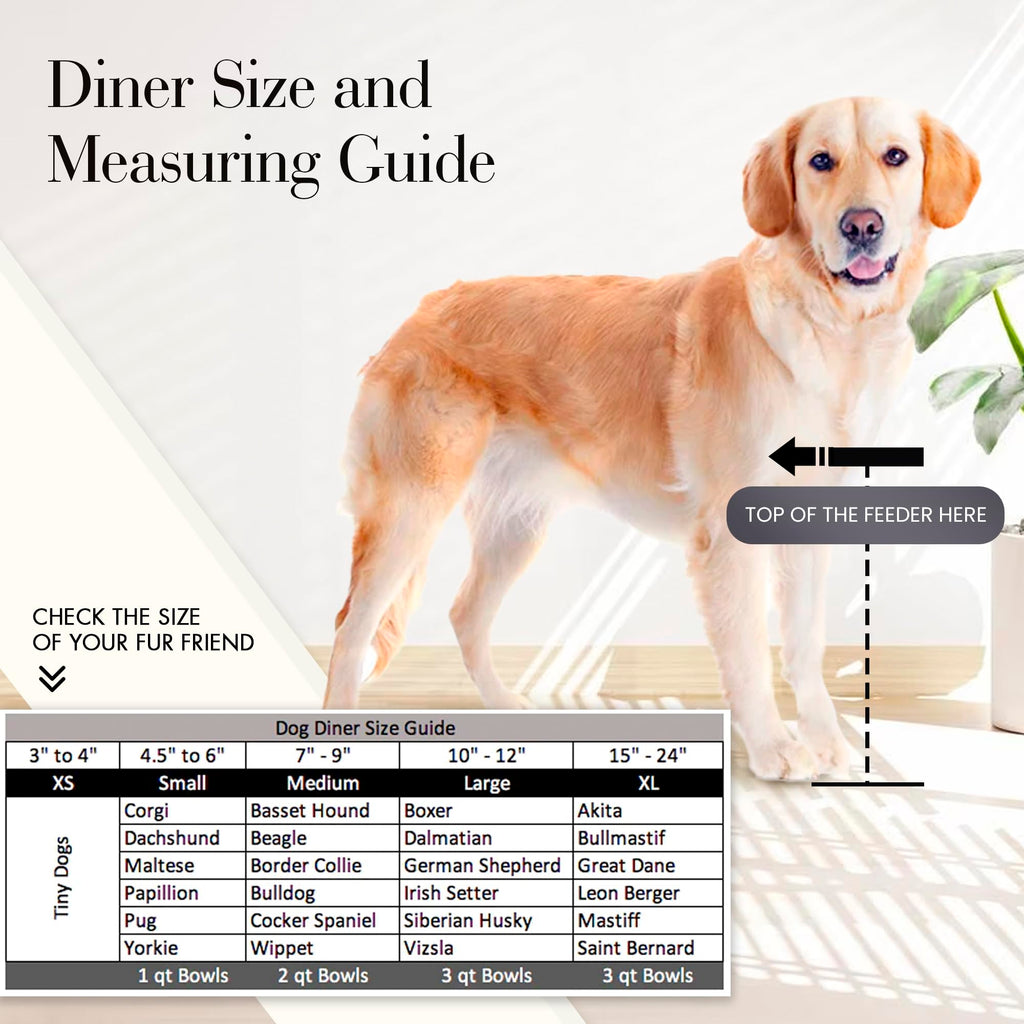 Black Triple Bowl Dog and Cat Feeder Stand with 3-2 Qt Stainless Bowls Z669