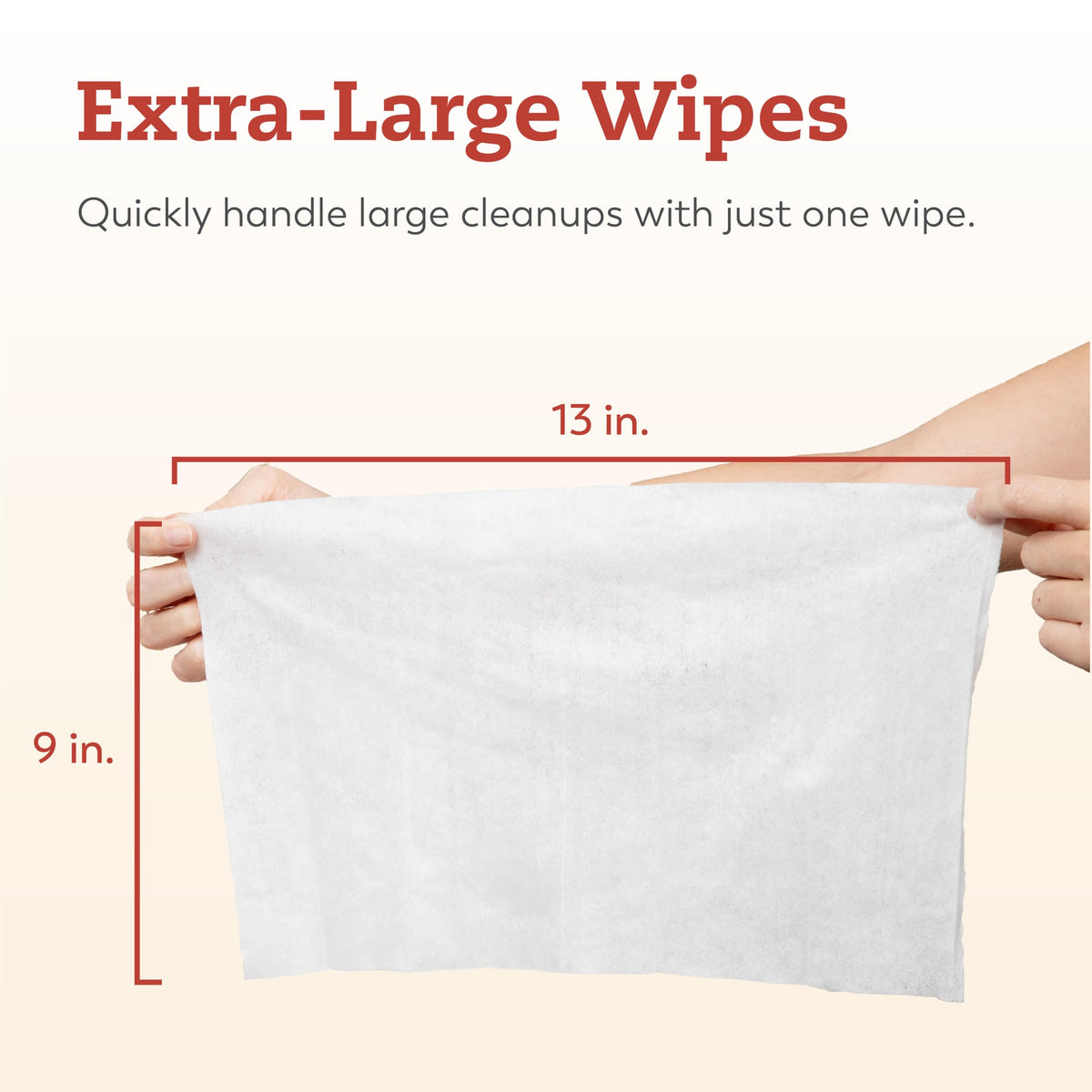 Large Briefs Starter Pack, 2 Bags + Cleansing Wipes I2543