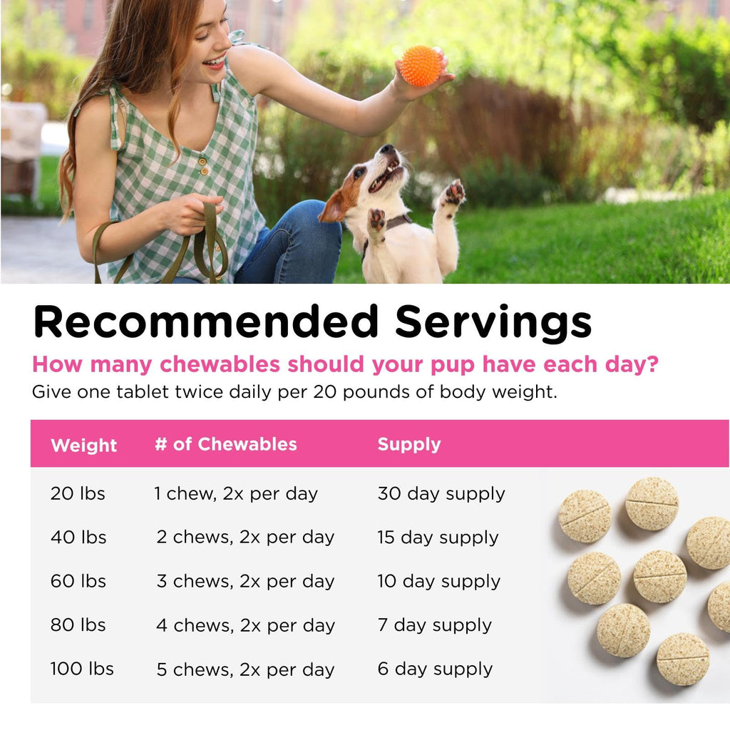 Dog Allergy Supplement 60 Count G874