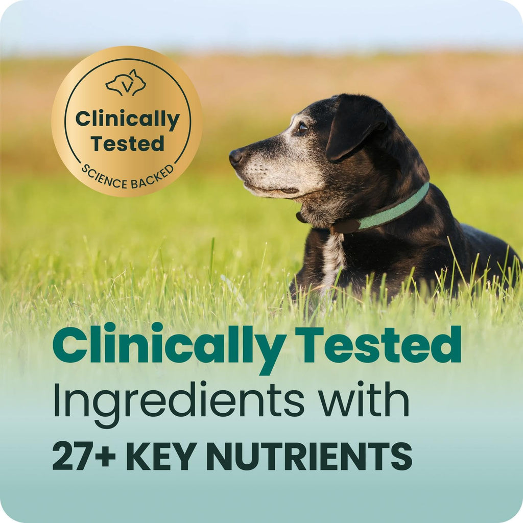Senior Multivitamin for Dogs, 60 Count C623592