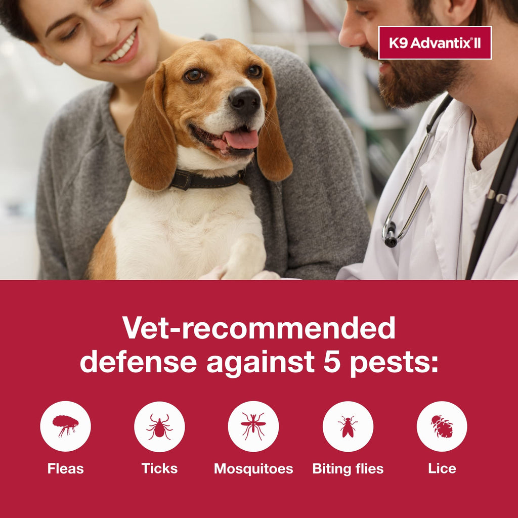 Small Dog Flea and Tick Treatment 6-Mo Supply + Omega 3 Supplement 60 Capsules N27391