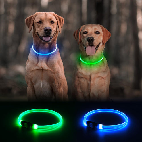 2 Packs Light Up Dog Collar A45386