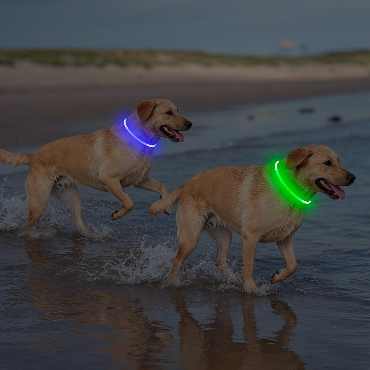 2 Packs Light Up Dog Collar A45386