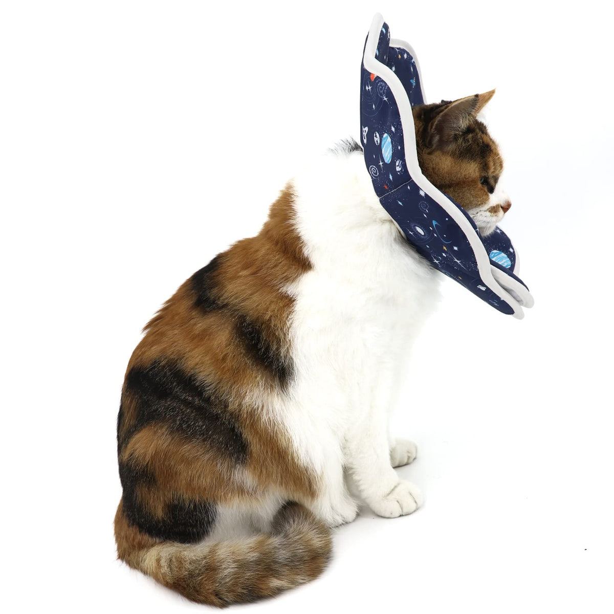 Adjustable Soft Cat Recovery Collar K8960