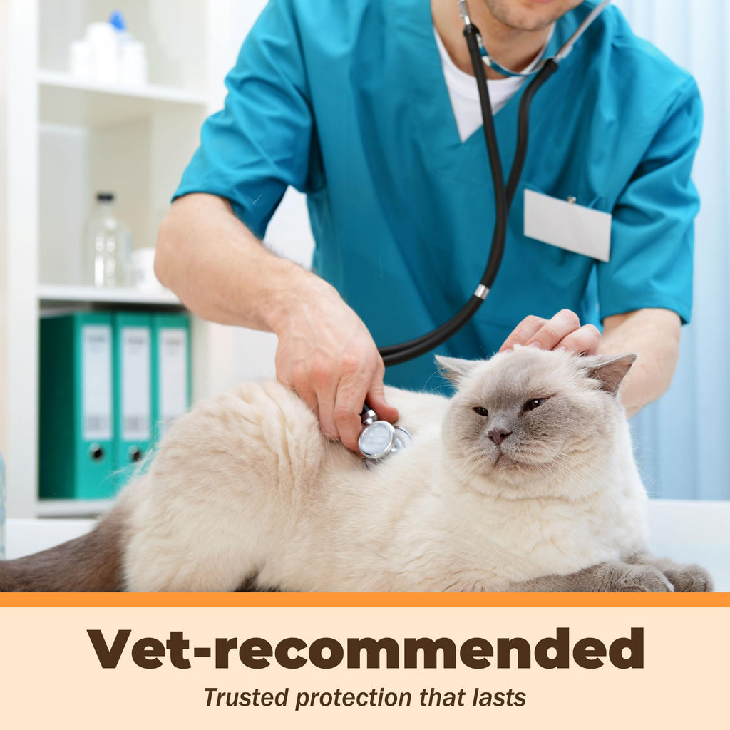 Fenbendazole Liquid 10% Dewormer 150ml M121155