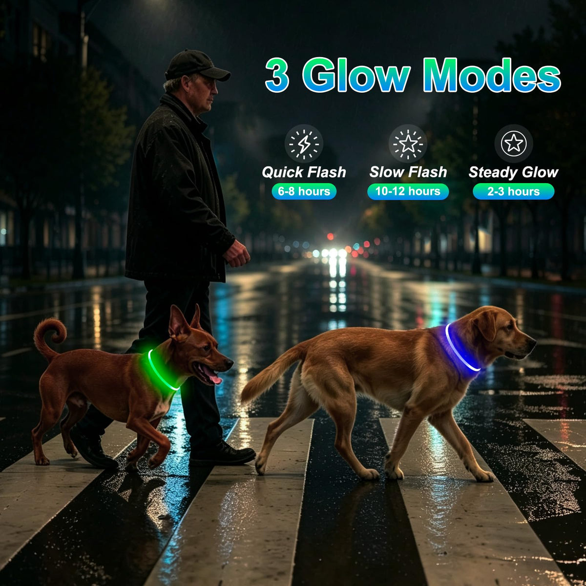 2 Packs Light Up Dog Collar A45386