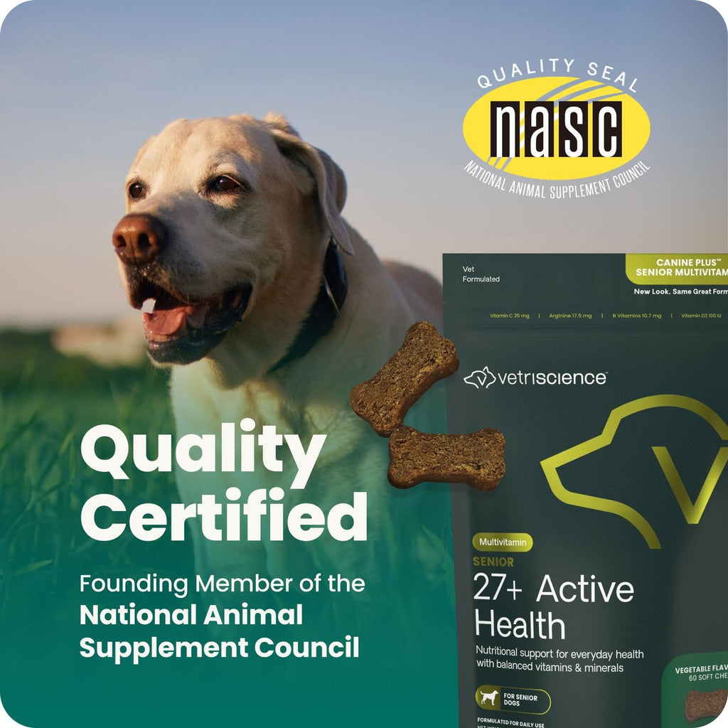 Senior Multivitamin for Dogs, 60 Count C623592