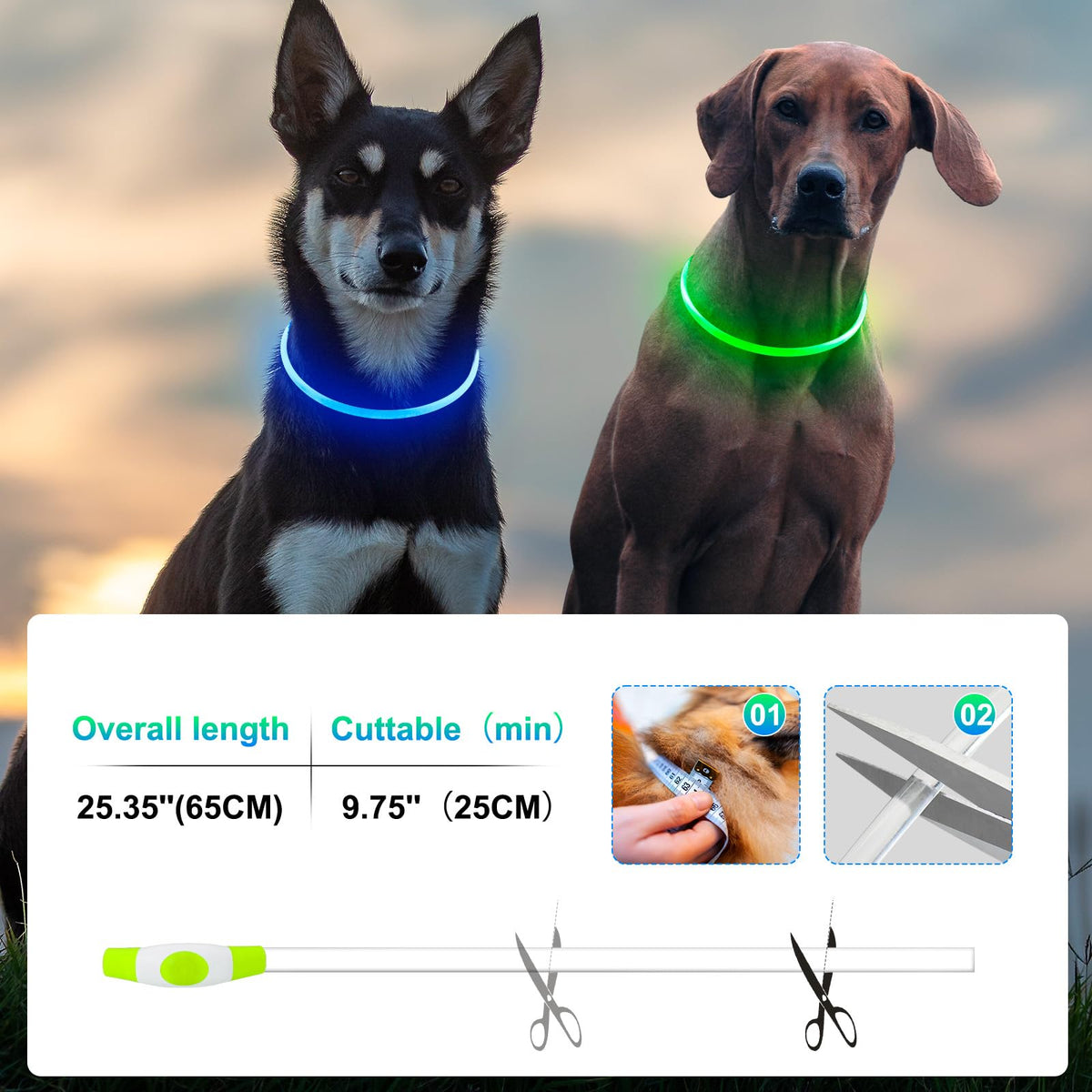 2 Packs Light Up Dog Collar A45386