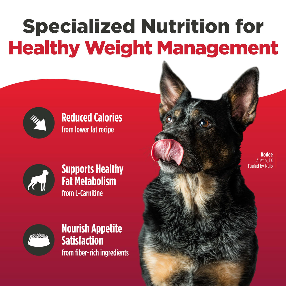 High Protein Grain Free Dry Dog Food K759165