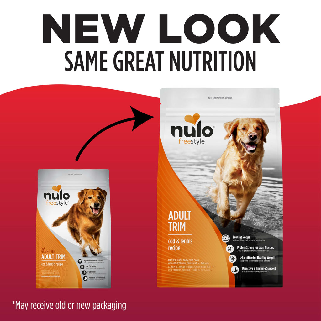 High Protein Grain Free Dry Dog Food K759165