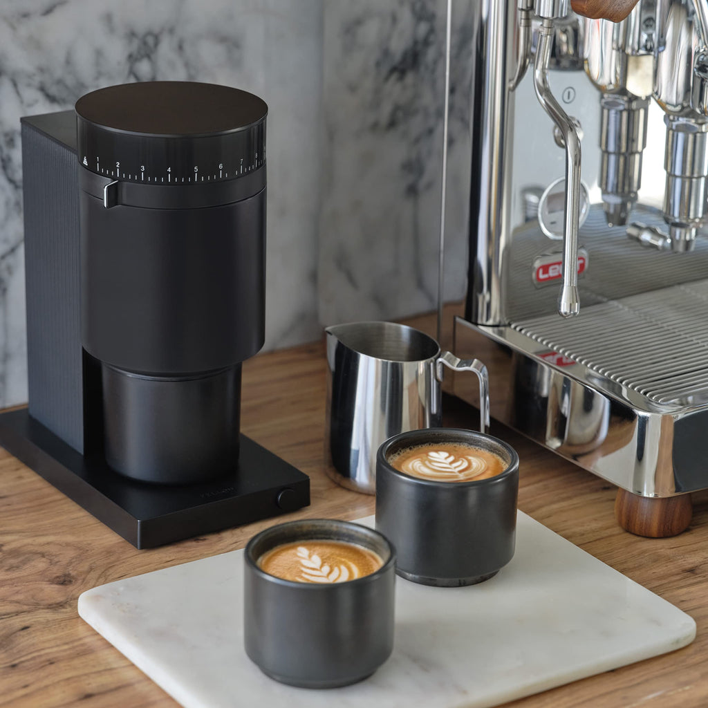 Conical Burr Coffee Grinder, 41 Settings, Black S1828
