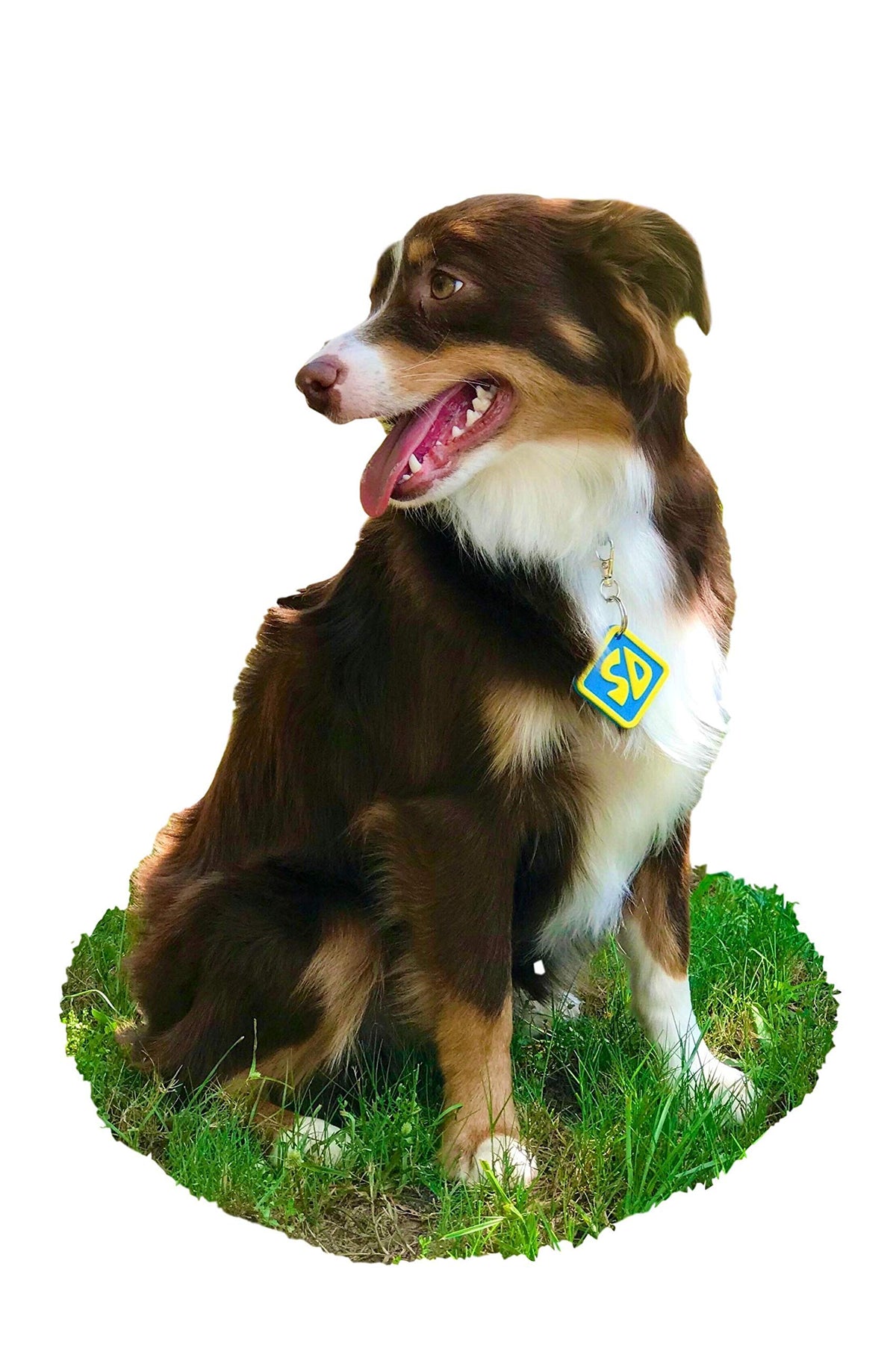 Dog Halloween Costume Collar Tag U942569