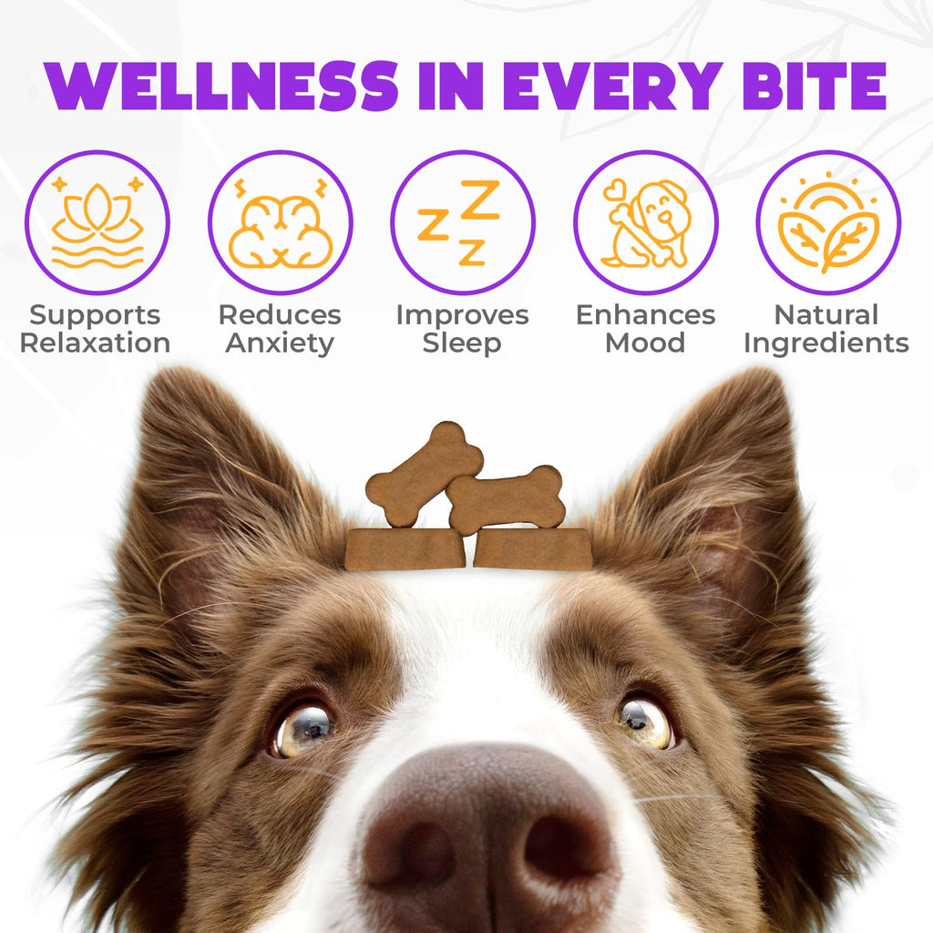 Chicken Flavor 60 Count Calming Chews for Dogs X335