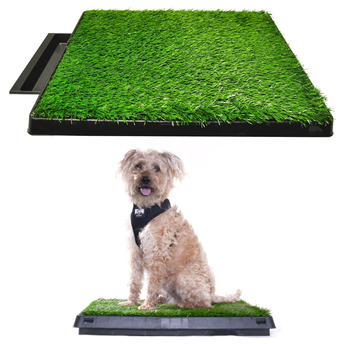 Dog Grass Pad with Tray 20 x 25 with Drawer L243
