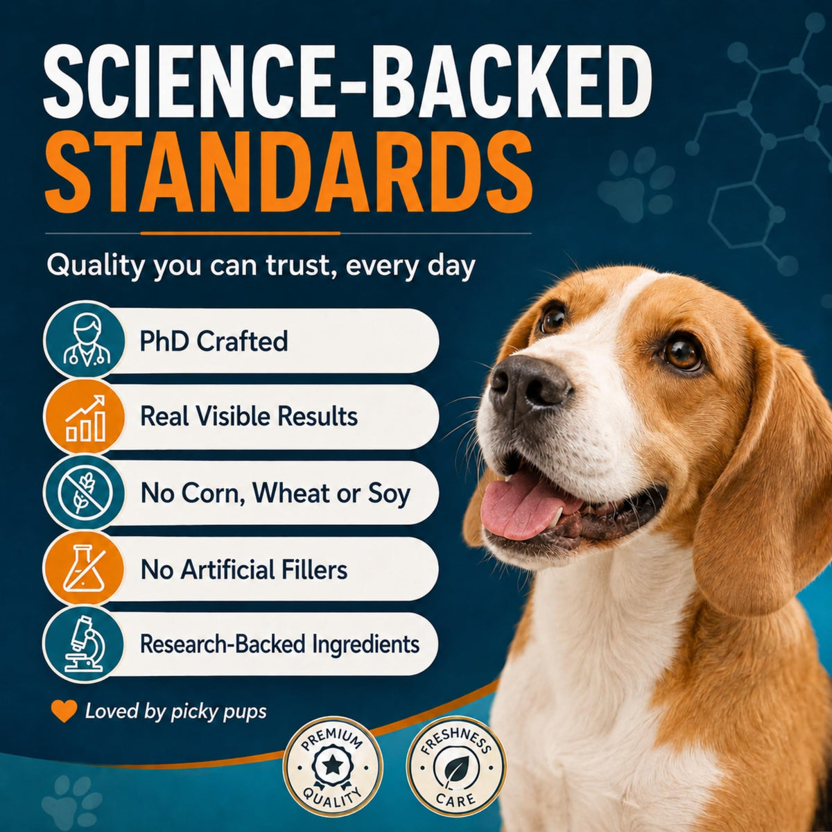 Doggy Nutritious Beef Bone Soup Supplement P545