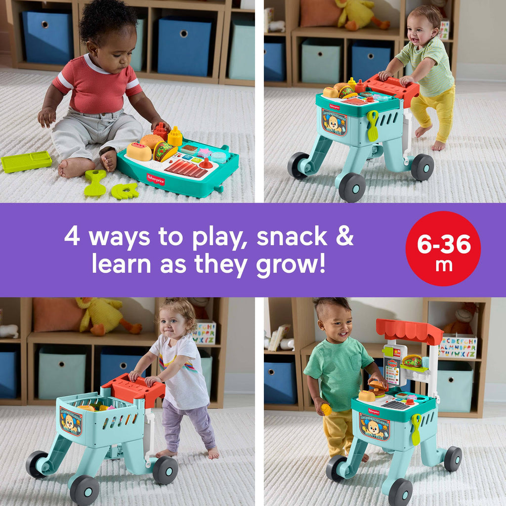 Baby Learning Toy 4-in-1 Walker with 14 Pieces N487212