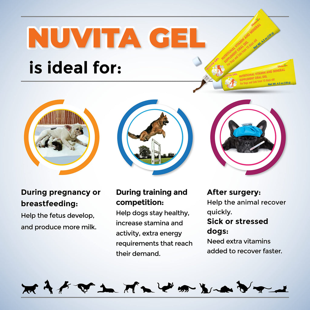 Nutritional Vitamin Gel for Dogs and Cats 4.2 oz D644413