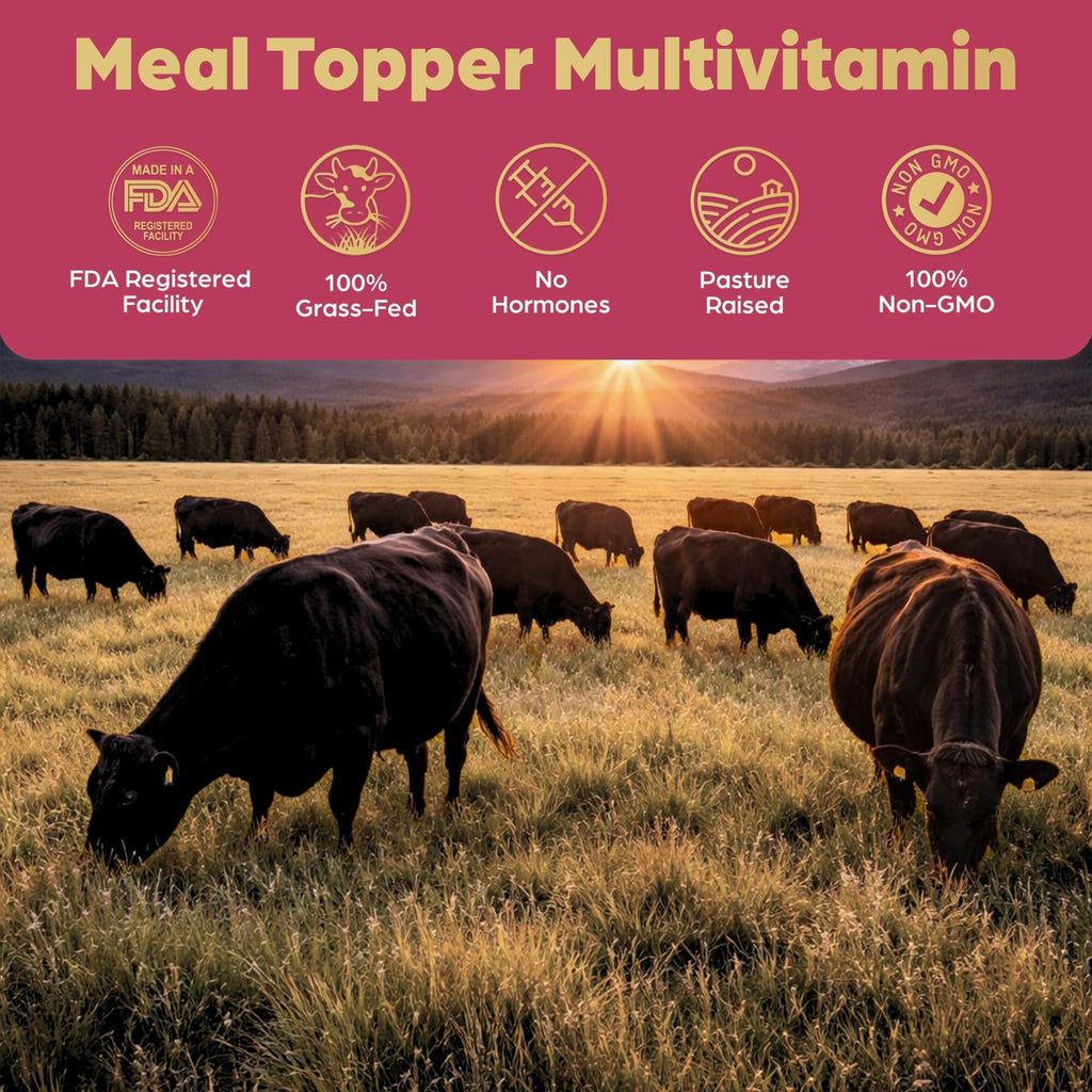 Beef Organ Bone Broth Meal Topper for Dogs R77078