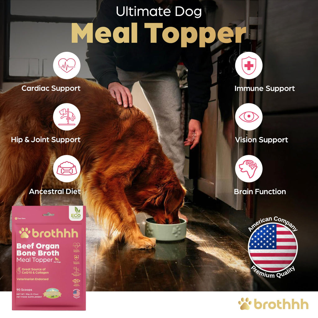 Beef Organ Bone Broth Meal Topper for Dogs R77078