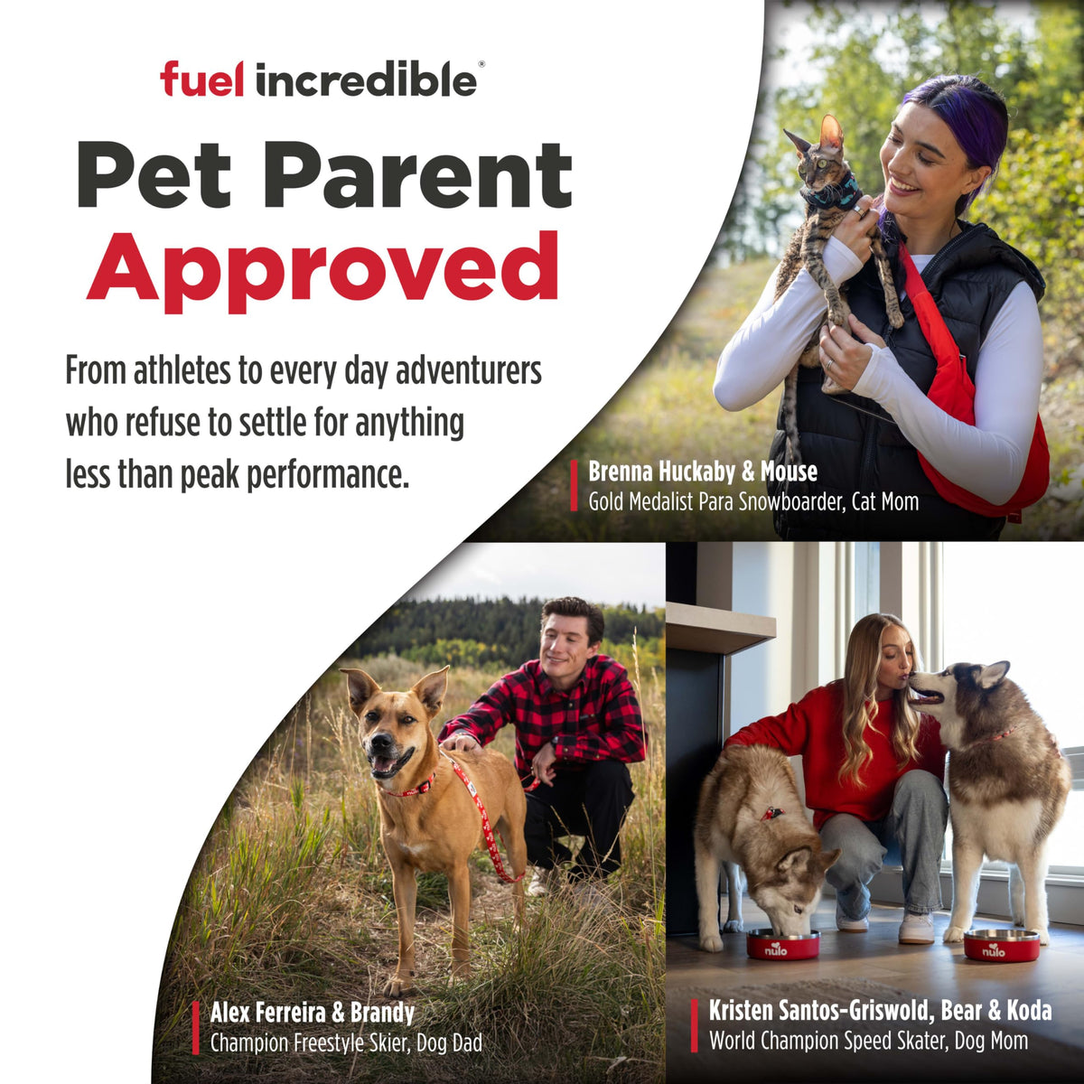 High Protein Grain Free Dry Dog Food K759165