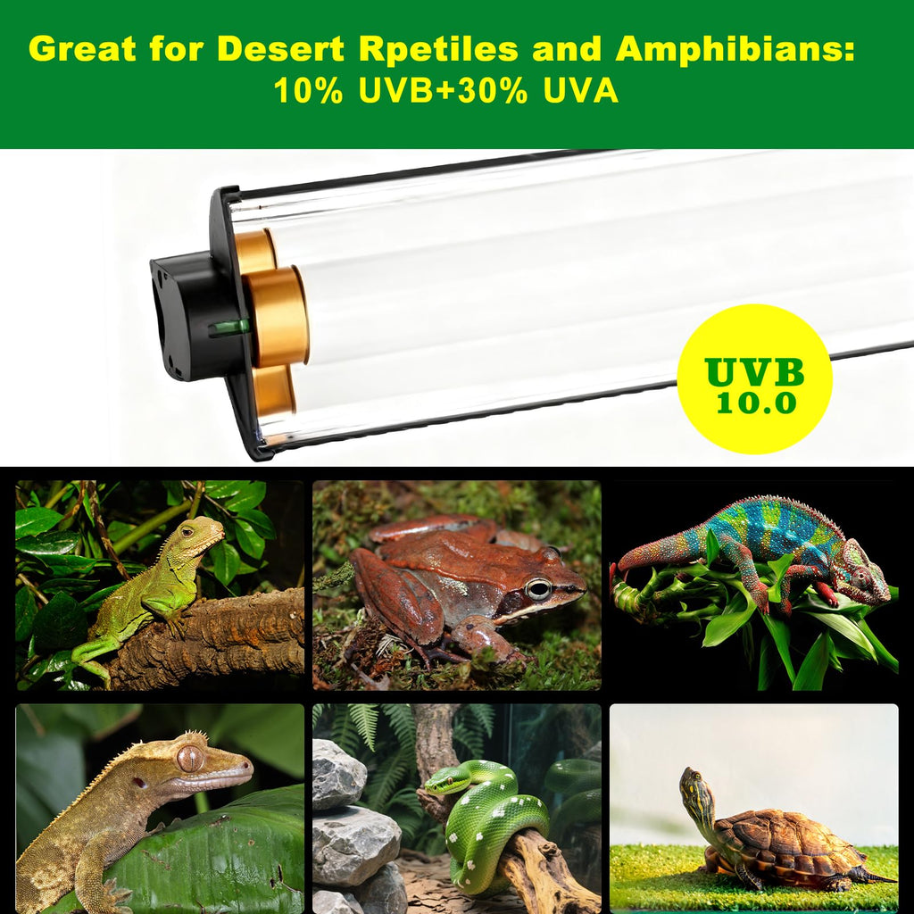 15W T5 HO UVB Terrarium Hood with Detachable Curved Reflector X9179