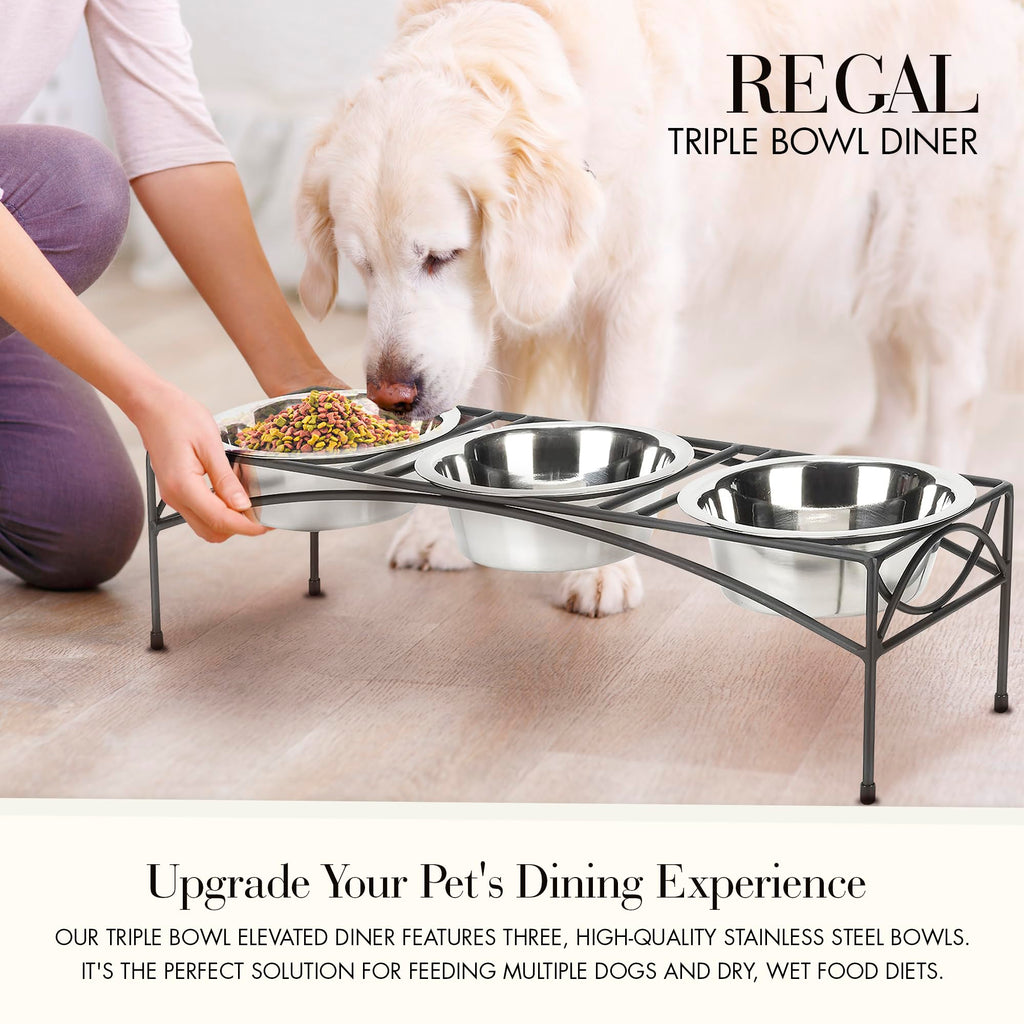 Black Triple Bowl Dog and Cat Feeder Stand with 3-2 Qt Stainless Bowls Z669
