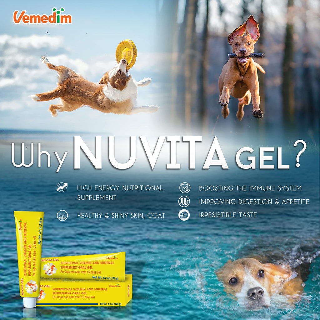 Nutritional Vitamin Gel for Dogs and Cats 4.2 oz D644413