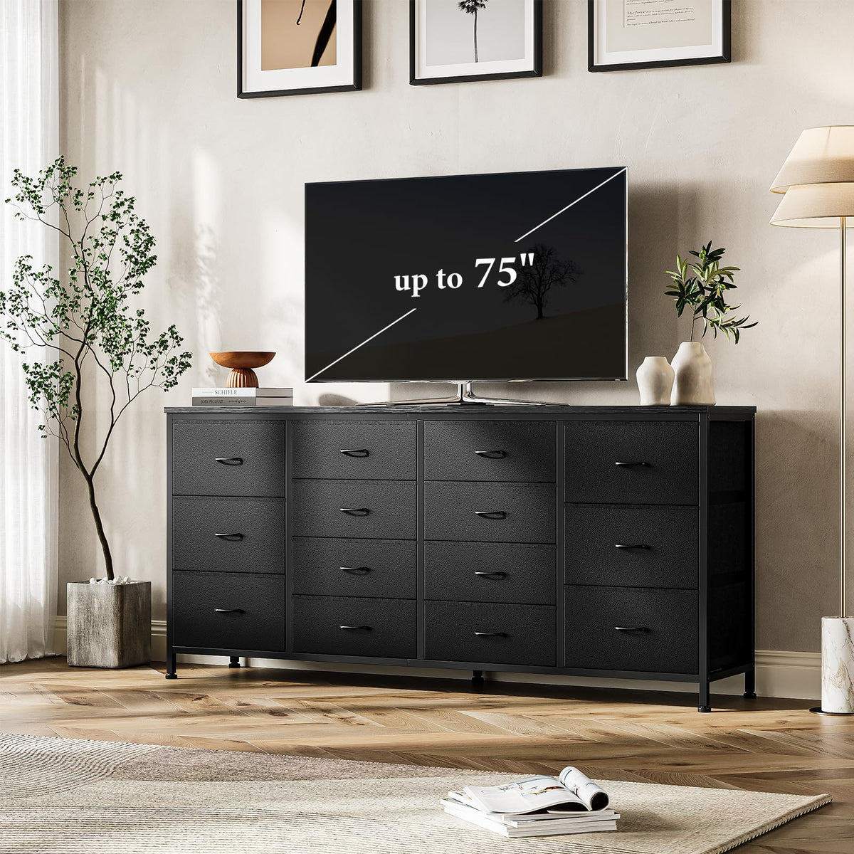 Black 14 Drawer Dresser TV Stand E18245
