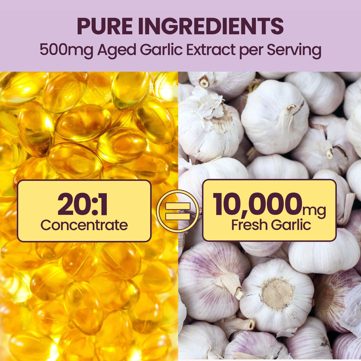 Aged Garlic Extract Softgels 10000mg 300 Count Q8095